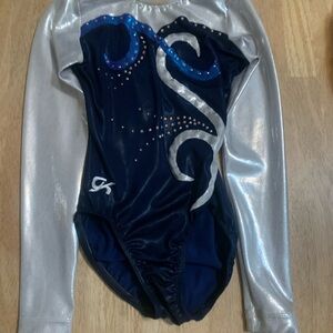 Silver and Blue Long Sleeve Leotard